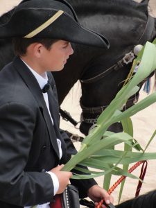 Fiestas-de-fornells-menorca