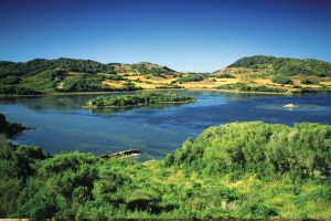 que-ver-en-el-norte-de-menorca-albufera-des-grau