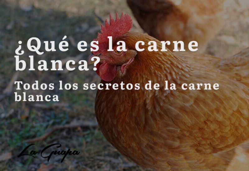 que-es-la-carne-blanca